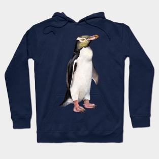 Yellow-eyed Penguin Hoodie